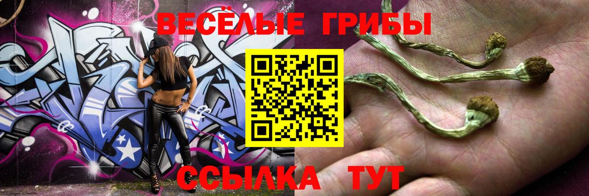Усть-Кут  Галлюциногенные грибы мицелий  Вход с VPN 